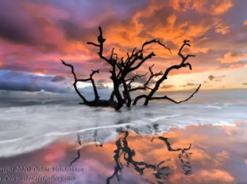 The MAC - Murphy Art Center