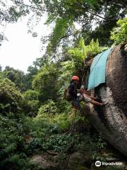 Langkawi Canopy Adventures