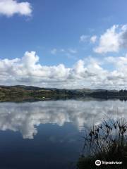 Lake Tutira