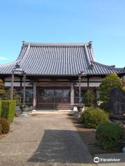 Maidenhair Tree of Manraku-ji Temple