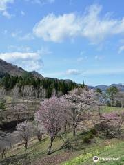 かたまえ山森林公園