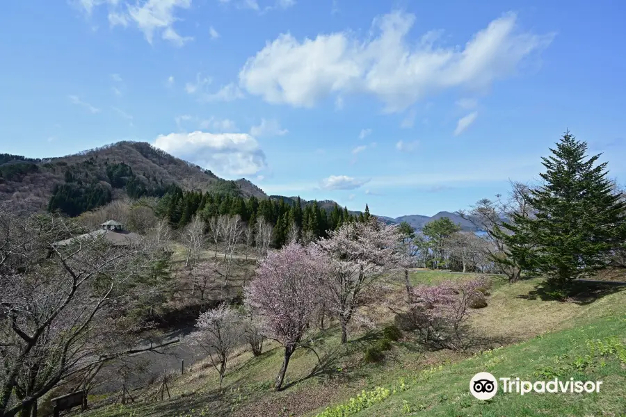 Mount Katamae Forest Park