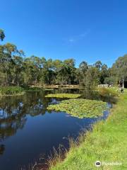 Australian Rainbow Trout Farm