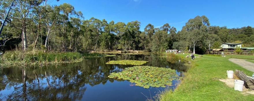 Australian Rainbow Trout Farm