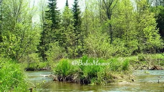 Grand Traverse Natural Education Reserve