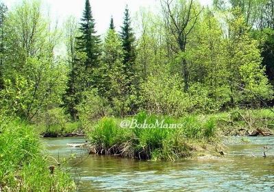 Grand Traverse Natural Education Reserve