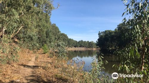 Wiradjuri Walking Track