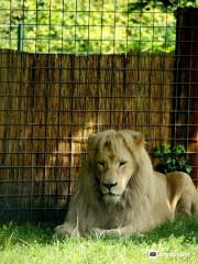 Tier- und Freizeitpark Thüle