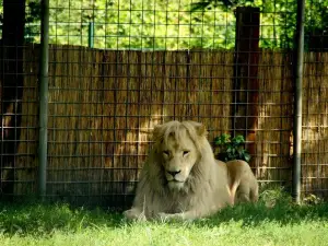 Tier- und Freizeitpark Thüle