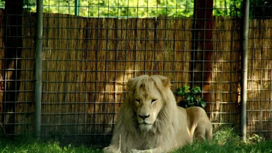 Tier- und Freizeitpark Thüle