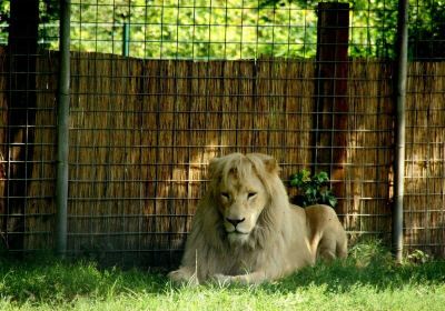 Tier- und Freizeitpark Thüle