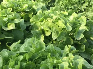 Ferme de la Chasseloire