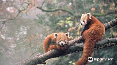 Zoo des Sables d'Olonne