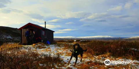 The Forollhogna Mountains