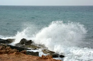 Lapithos