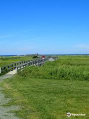 parc provincial Rushtons Beach