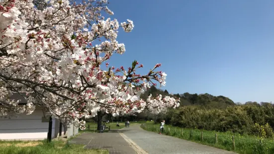 花島公園