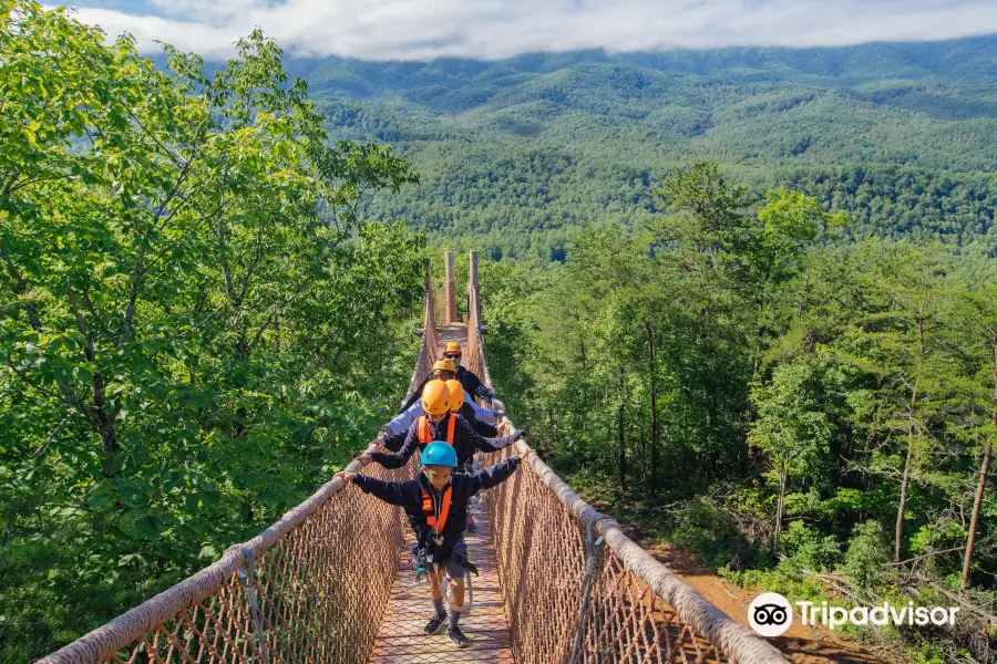 CLIMB Works Smoky Mountains - Zipline Tour