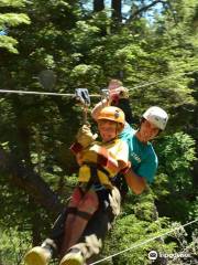 Patagonia Canopy tour