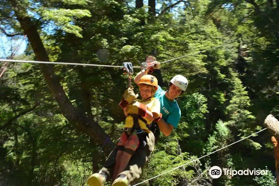 Patagonia Canopy tour