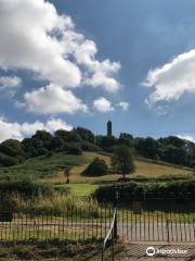 Tyndale Monument