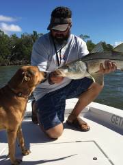 Get Hooked Charter Fishing