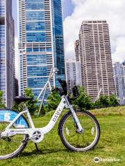 Divvy Bikes