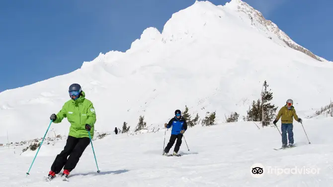 Welcome Suica&JR Line One Day Pass (Pick up at Haneda Airport)