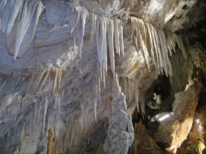 Cueva de los Murcielagos