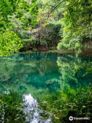 Maruike Pond