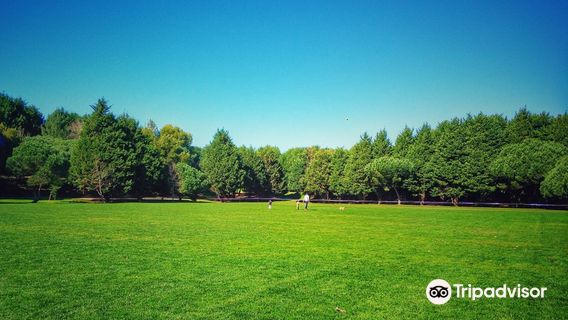 Parque da Cidade do Porto