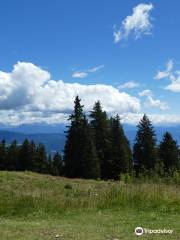 Funivia Monte San Vigilio - Seilbahn Vigiljoch