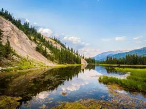 Denali National Park