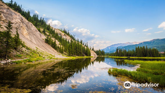 Denali National Park