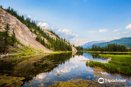 Denali National Park