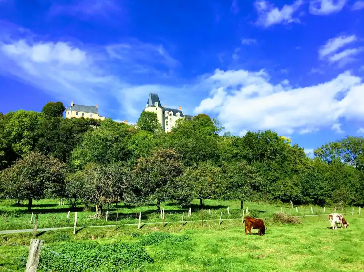 Hotels in Sainte-Suzanne