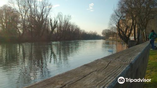 Passeggiata Lungo il Fiume Sile