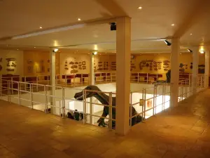 Museu de Paleontologia Placido Cidade Nuvens