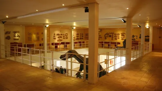 Museu de Paleontologia Placido Cidade Nuvens