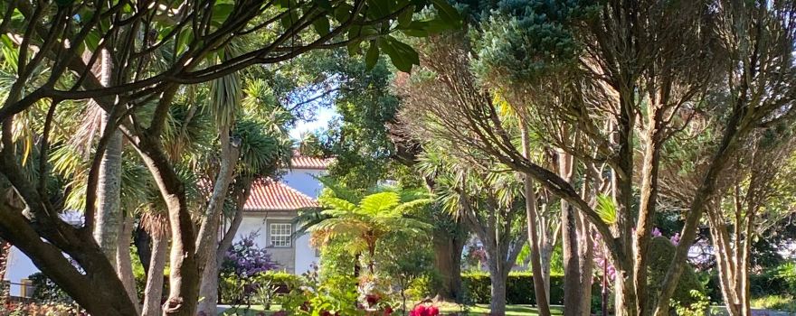 Duke Of Terceira Garden