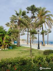 Playa de San Pedro de Alcantara