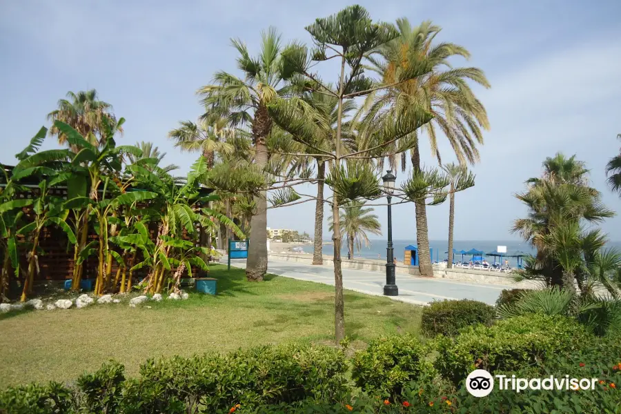 Playa de San Pedro de Alcántara