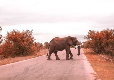 Malelane Gate @ Kruger National Park