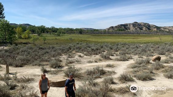 Cannonball Concretions Pullout