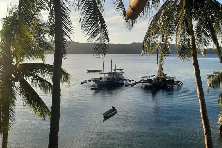 Tao Expeditions