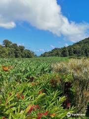 Le Jardin de la Rencontre