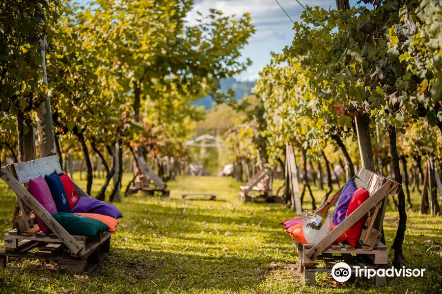 Vinhos Larentis