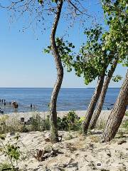 Grand Beach Provincial Park