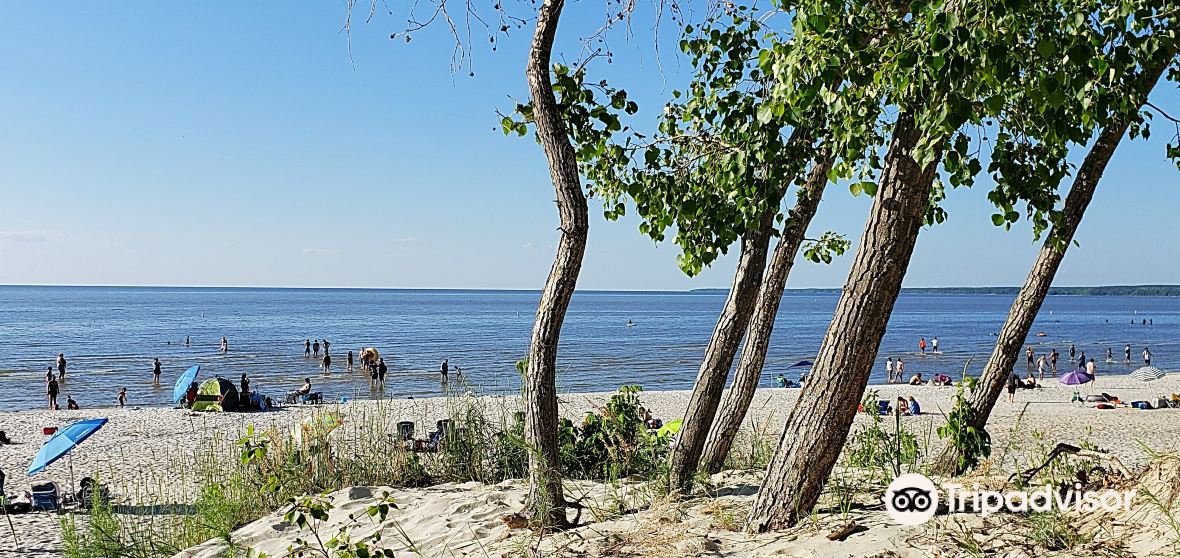 Things to do in Grand Marais - Trip.com