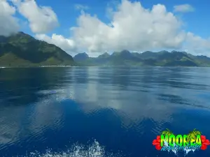 Moorea Activities Center (JetSki, Quad/ATV, Baleines/whales)